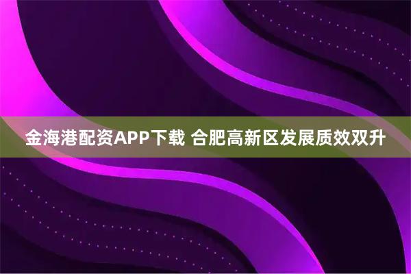 金海港配资APP下载 合肥高新区发展质效双升