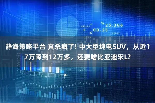 静海策略平台 真杀疯了! 中大型纯电SUV，从近17万降到12万多，还要啥比亚迪宋L?
