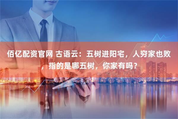 佰亿配资官网 古语云：五树进阳宅，人穷家也败，指的是哪五树，你家有吗？